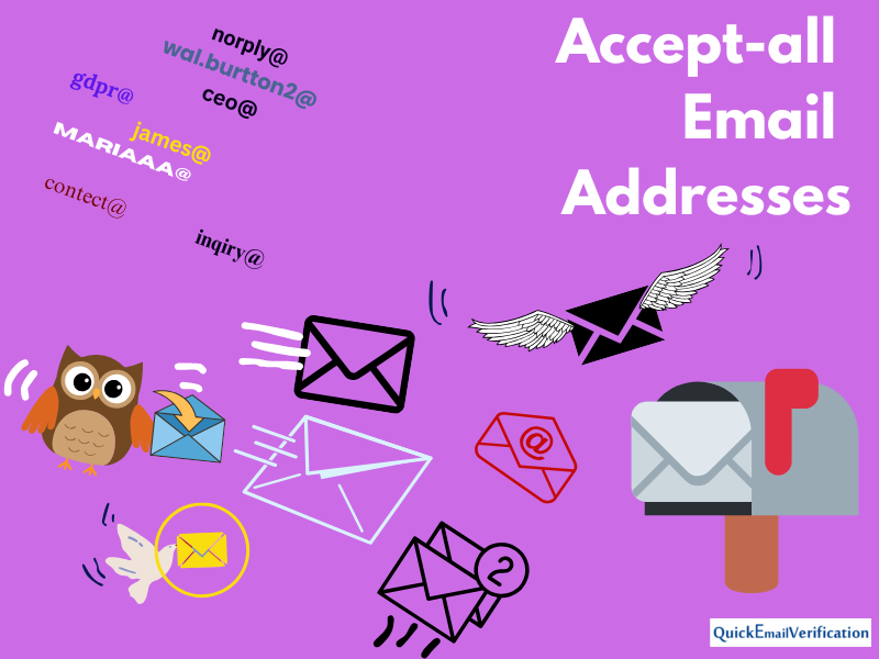 accept-all-emails